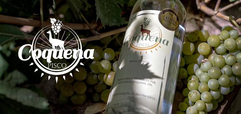 Pisco Coqueña